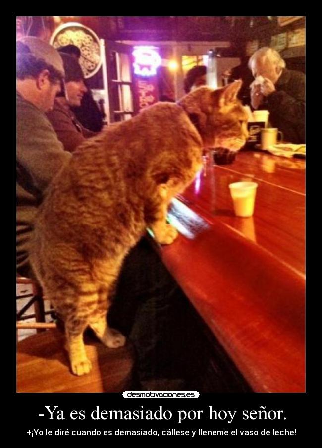 -Ya es demasiado por hoy señor. - +¡Yo le diré cuando es demasiado, cállese y lleneme el vaso de leche!