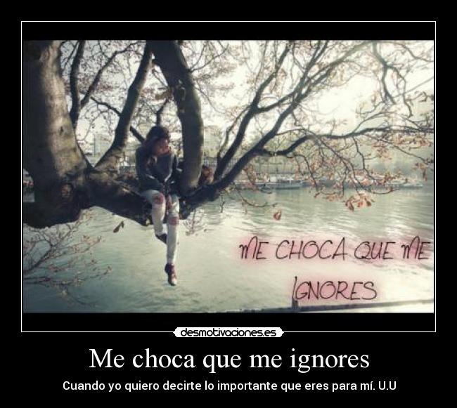 Me choca que me ignores - Cuando yo quiero decirte lo importante que eres para mí. U.U