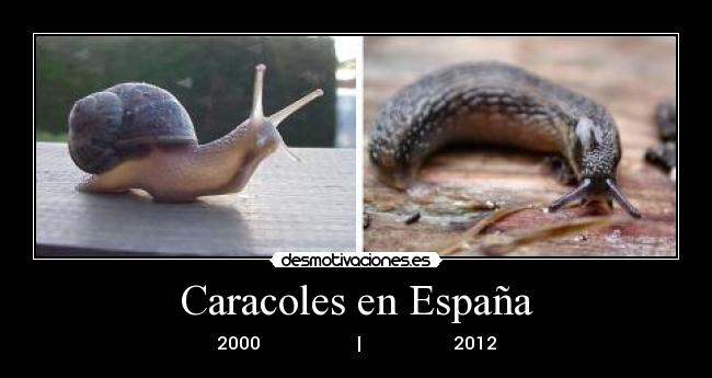 Caracoles en España - 2000                      |                     2012