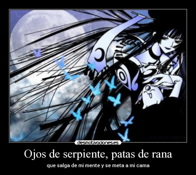 Ojos de serpiente, patas de rana - que salga de mi mente y se meta a mi cama