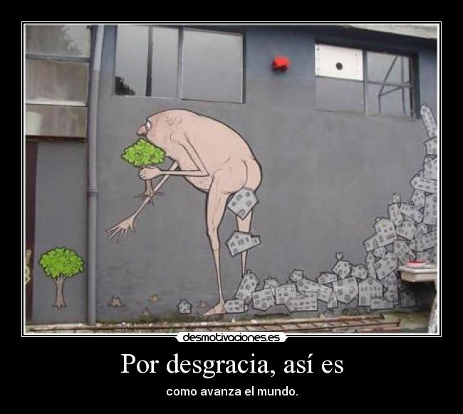 Por desgracia, así es -