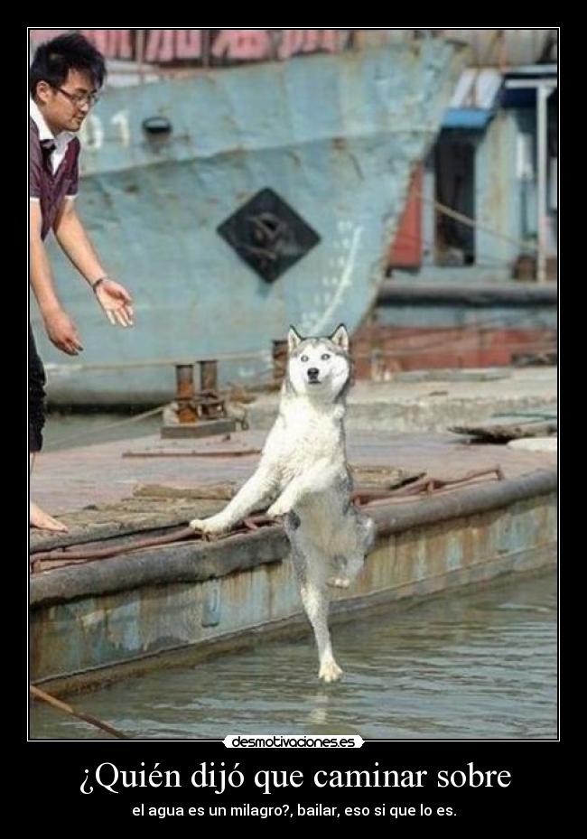 ¿Quién dijó que caminar sobre - 