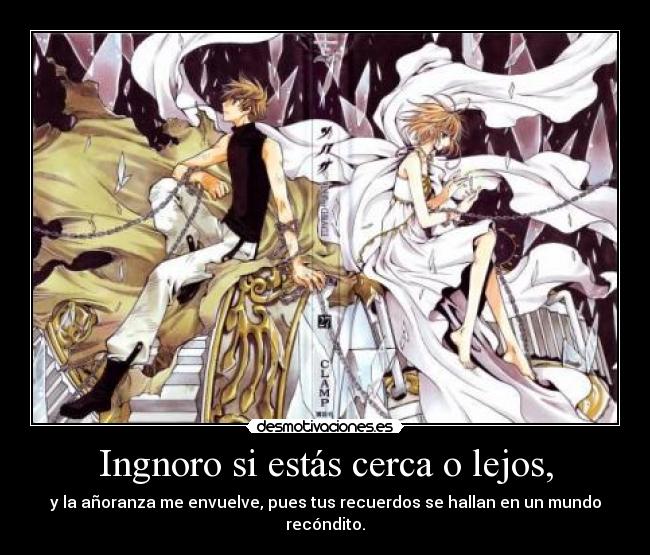 Ingnoro si estás cerca o lejos, - y la añoranza me envuelve, pues tus recuerdos se hallan en un mundo recóndito.