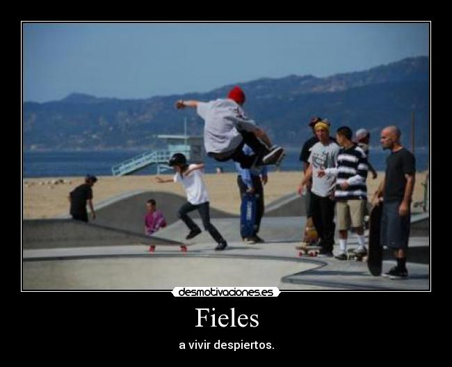 Fieles - a vivir despiertos.