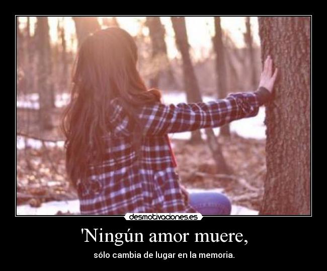 Ningún amor muere, -