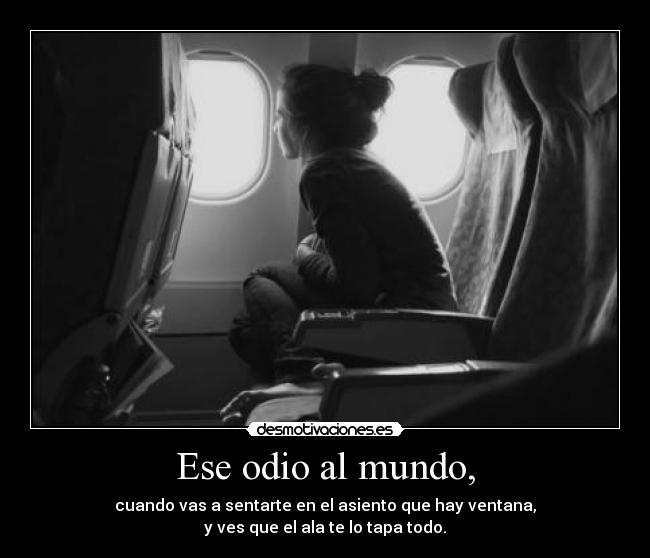 Ese odio al mundo, - cuando vas a sentarte en el asiento que hay ventana,
y ves que el ala te lo tapa todo.