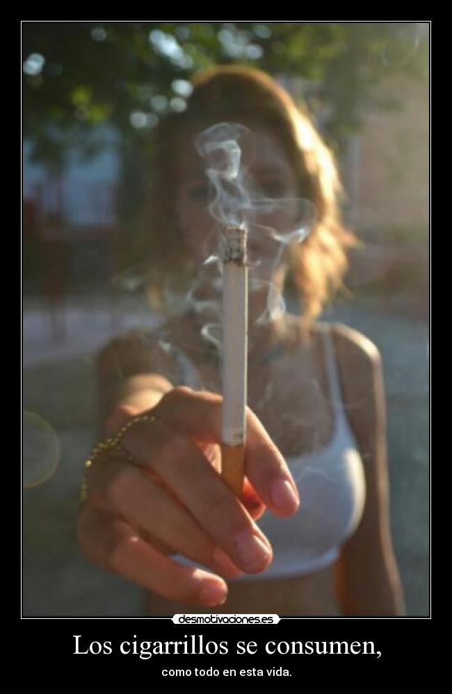 Los cigarrillos se consumen, - como todo en esta vida.