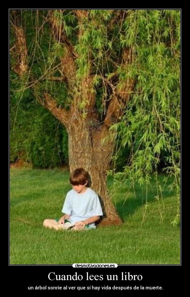 Cuando lees un libro - un árbol sonríe al ver que sí hay vida después de la muerte.