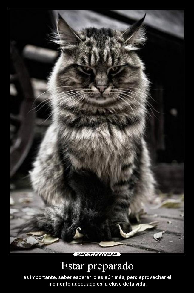 Estar preparado - es importante, saber esperar lo es aún más, pero aprovechar el
momento adecuado es la clave de la vida.