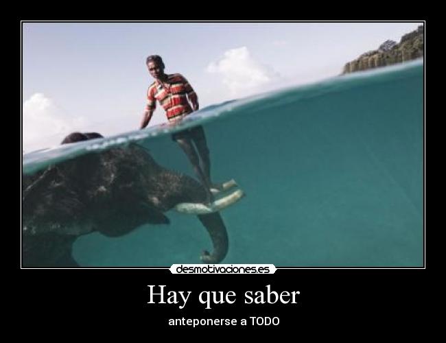 Hay que saber - 