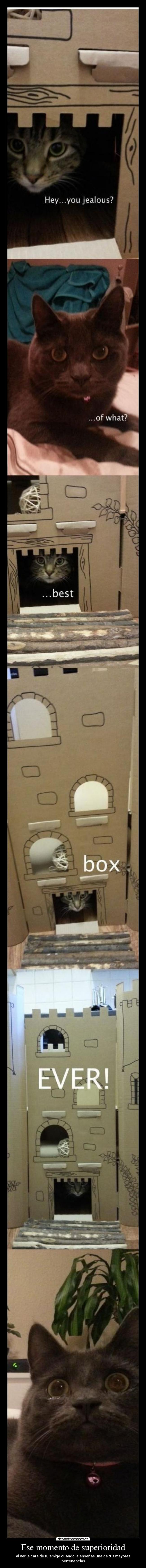 Ese momento de superioridad -