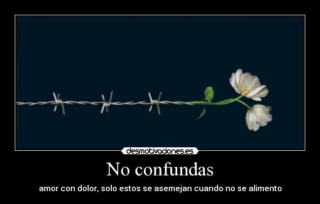 No confundas - 