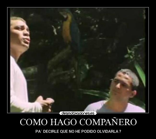 COMO HAGO COMPAÑERO - PA´ DECIRLE QUE NO HE PODIDO OLVIDARLA ?