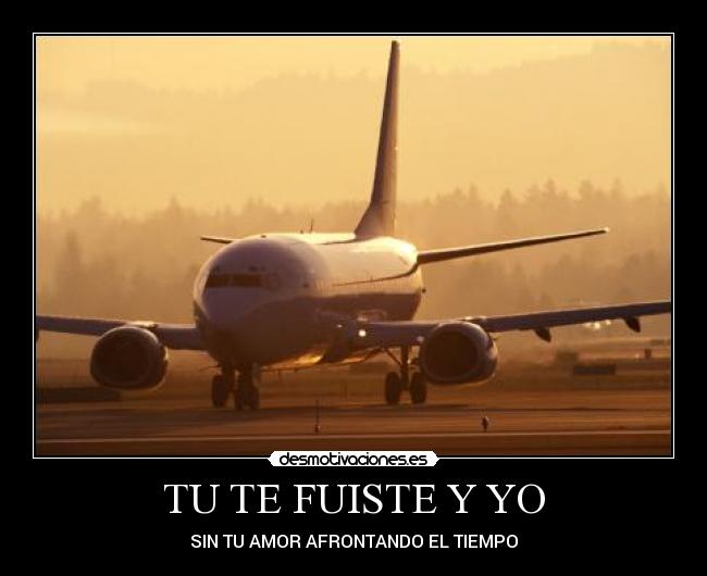 TU TE FUISTE Y YO -