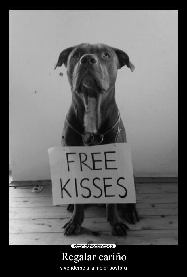 Regalar cariño -