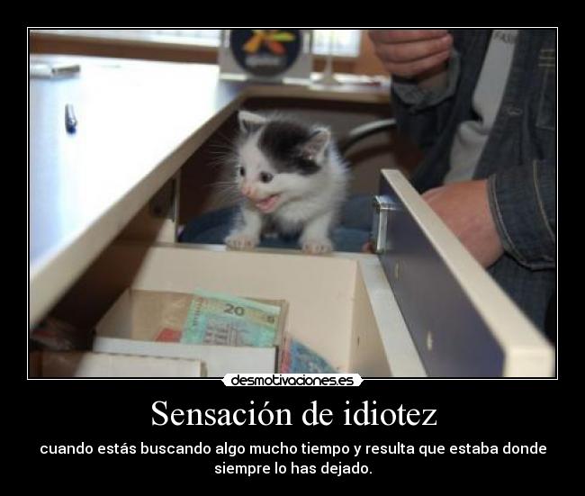 carteles v25 ht99 estaba hombre comprando exploto supermercado ala desmotivaciones