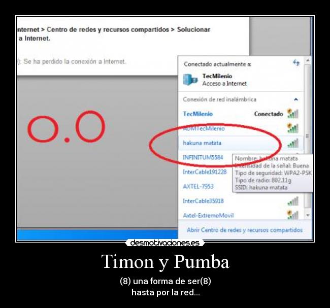 carteles timon pumba rey leon hakuna matata comedia wifi internet conexion desmotivaciones