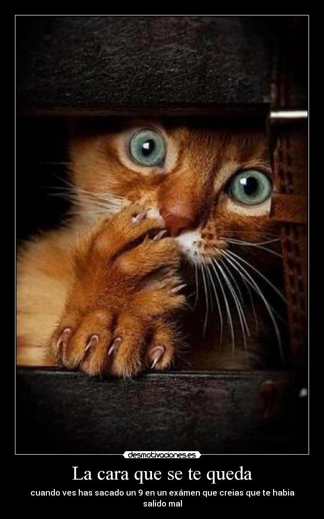 La cara que se te queda - cuando ves has sacado un 9 en un exámen que creias que te habia salido mal