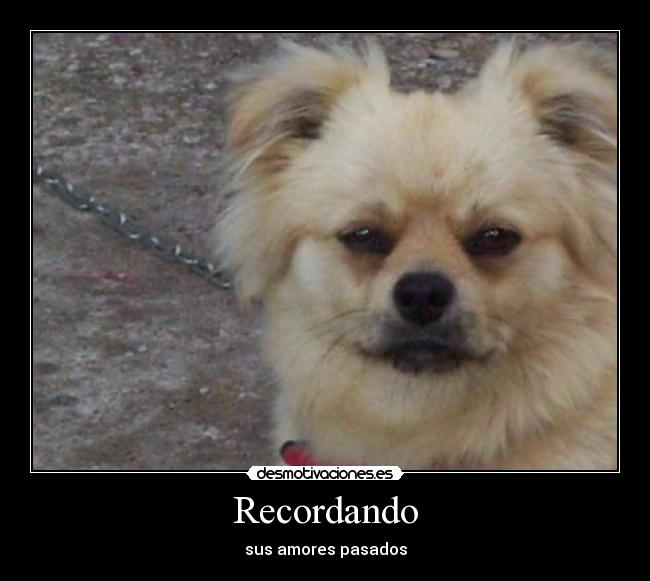 Recordando - sus amores pasados