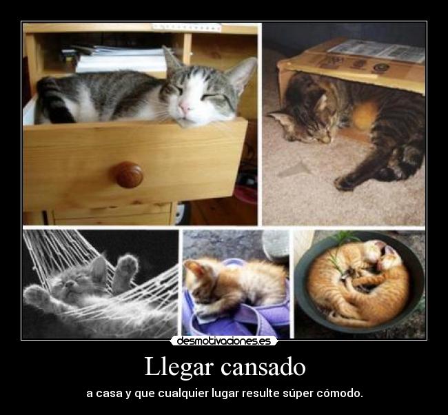 Llegar cansado - 