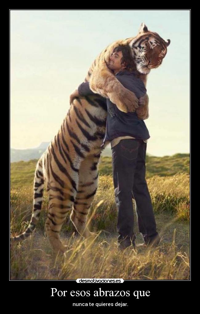 Por esos abrazos que - 