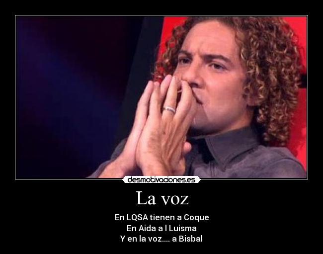 carteles voz bisbal desmotivaciones