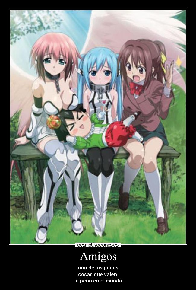 Amigos - 