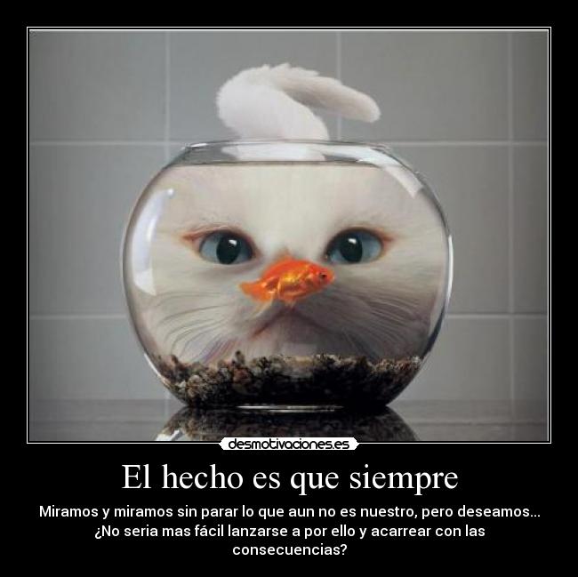 El hecho es que siempre - 