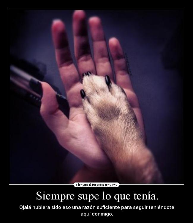 Siempre supe lo que tenía. - Ojalá hubiera sido eso una razón suficiente para seguir teniéndote aquí conmigo.