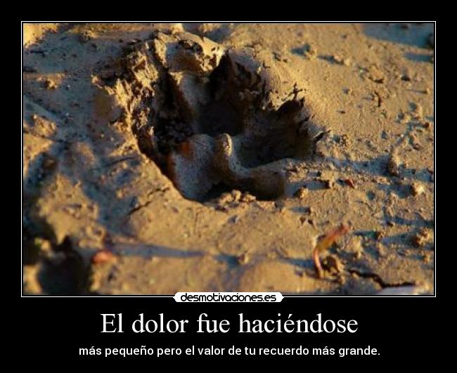 El dolor fue haciéndose - más pequeño pero el valor de tu recuerdo más grande.