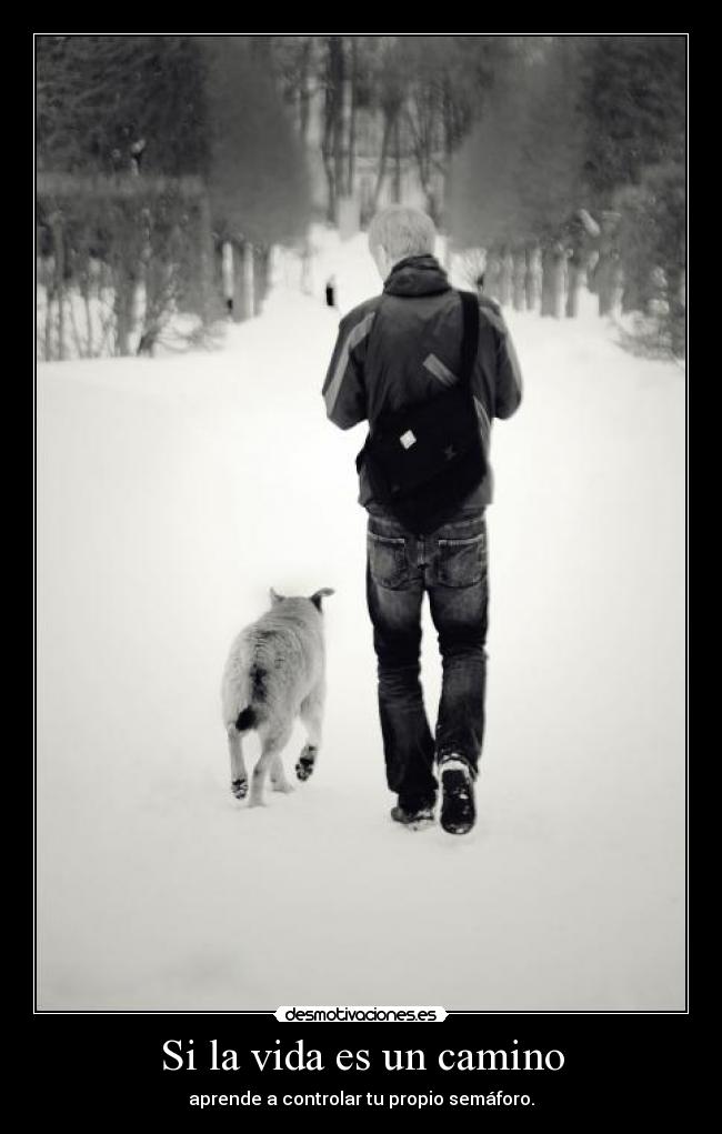 Si la vida es un camino - aprende a controlar tu propio semáforo.