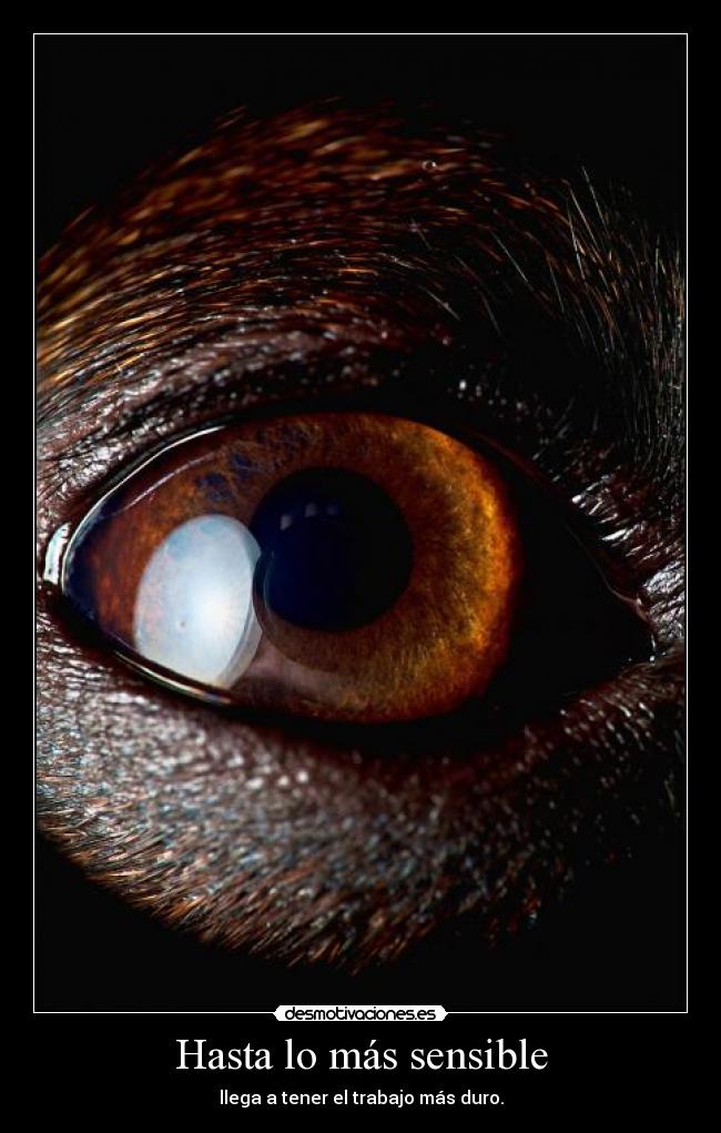 Hasta lo más sensible - llega a tener el trabajo más duro.