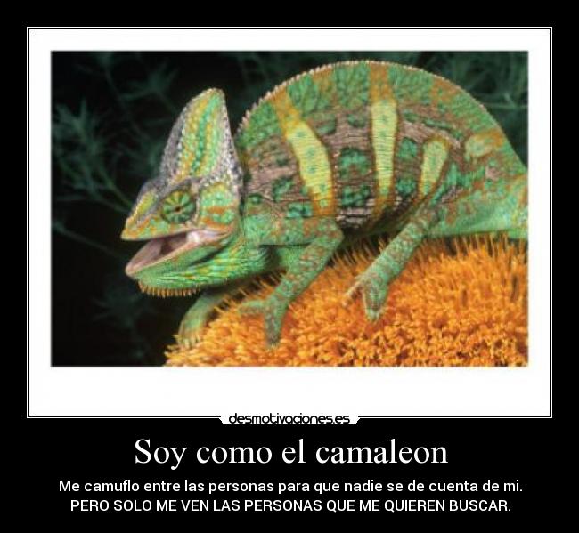Soy como el camaleon - Me camuflo entre las personas para que nadie se de cuenta de mi.
PERO SOLO ME VEN LAS PERSONAS QUE ME QUIEREN BUSCAR.