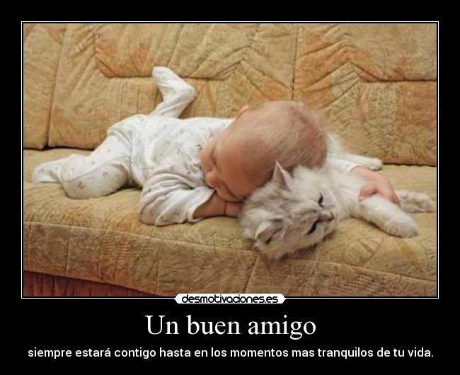 Un buen amigo -