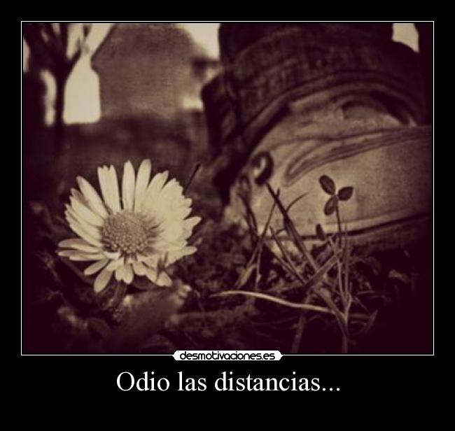 Odio las distancias... - 