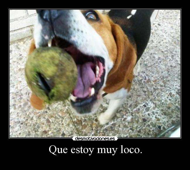 Que estoy muy loco. - 