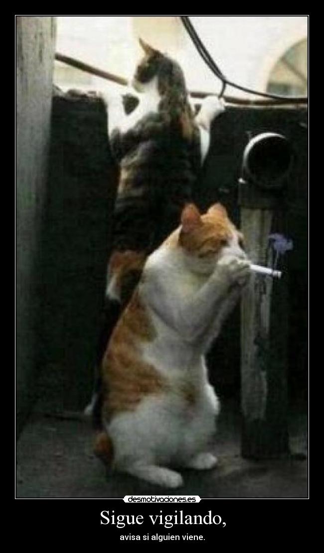 Sigue vigilando, - avisa si alguien viene.