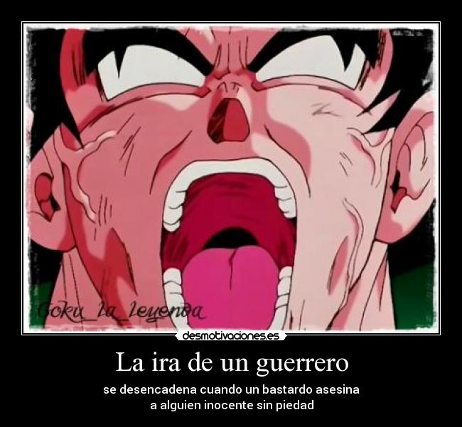 La ira de un guerrero -