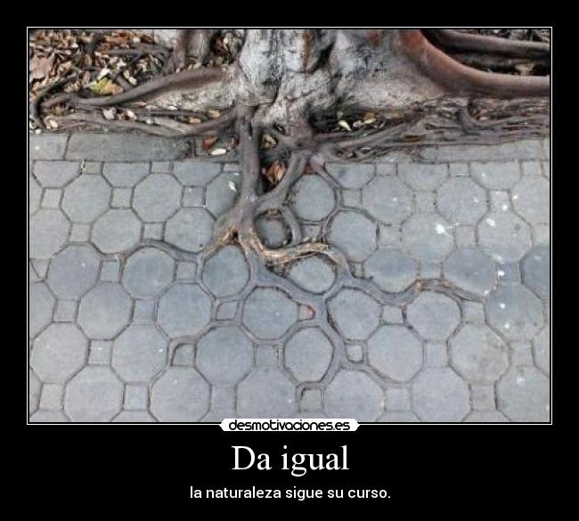 Da igual - la naturaleza sigue su curso.