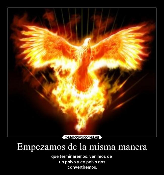 carteles como fenix que renace sus cenizas desmotivaciones