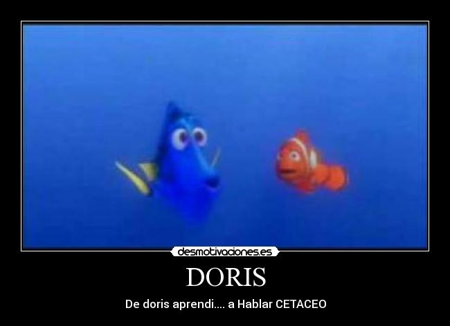 DORIS - De doris aprendi.... a Hablar CETACEO