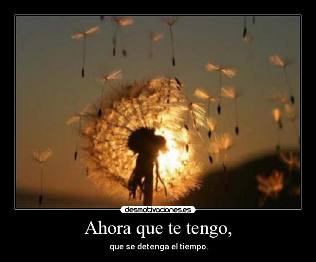 Ahora que te tengo, - 