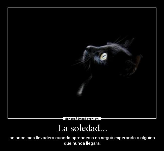 La soledad... - 