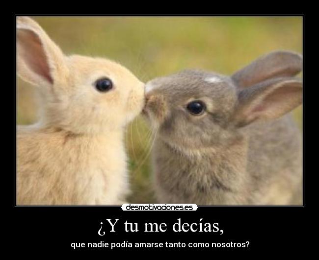 ¿Y tu me decías, - que nadie podía amarse tanto como nosotros?