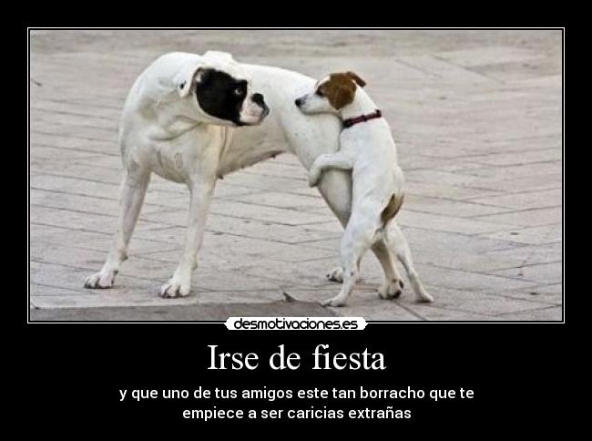 Irse de fiesta - 