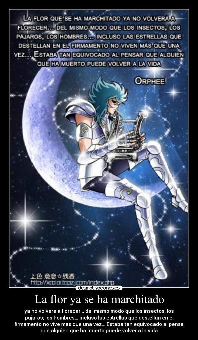 La flor ya se ha marchitado - ya no volvera a florecer... del mismo modo que los insectos, los
pajaros, los hombres... incluso las estrellas que destellan en el
firmamento no vive mas que una vez... Estaba tan equivocado al pensa
que alguien que ha muerto puede volver a la vida