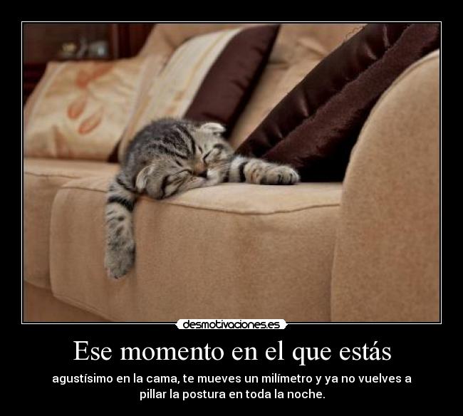 Ese momento en el que estás - 