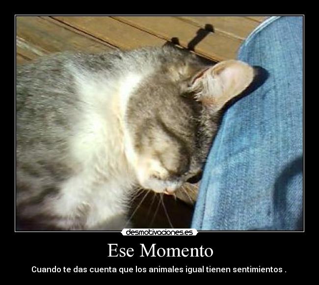Ese Momento -