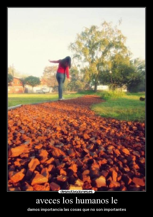 aveces los humanos le - damos importancia las cosas que no son importantes