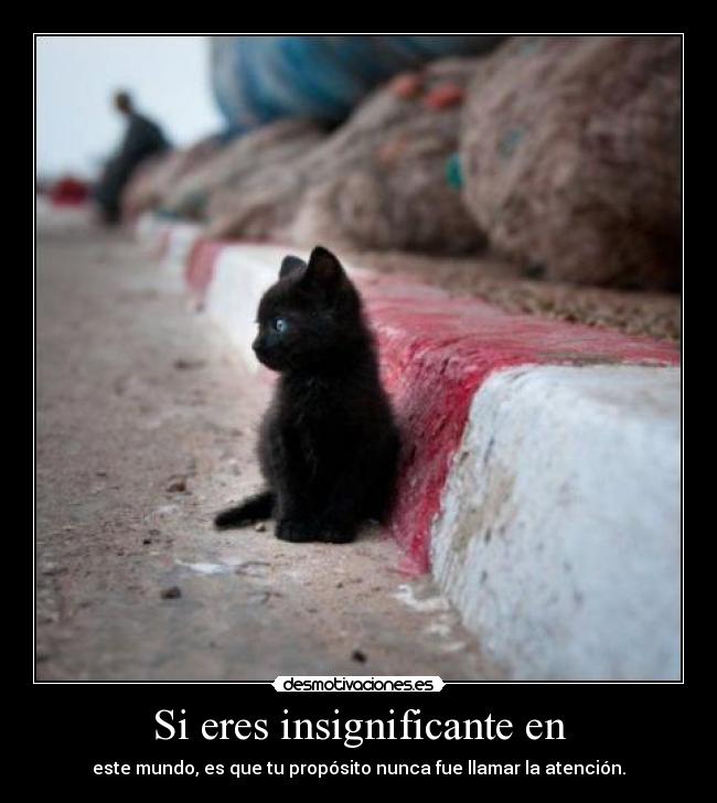 Si eres insignificante en - este mundo, es que tu propósito nunca fue llamar la atención.